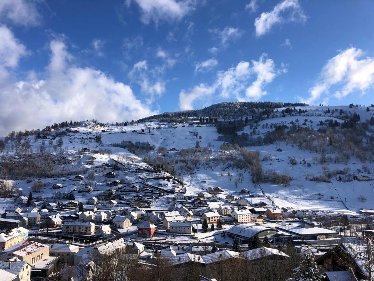 Magnifique Appartement Classe 4 Etoiles Avec Sauna Et Terrasse Dans Chalet La Bresse Εξωτερικό φωτογραφία